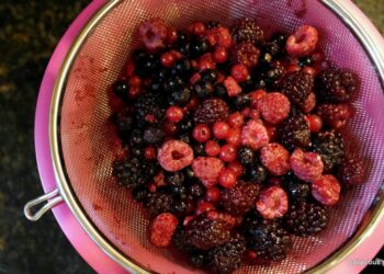 Ανακαλείται μείγμα κατεψυγμένων φρούτων – Ανιχνεύτηκε ο ιός της ηπατίτιδας Α’ (ΦΩΤΟ)