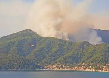 Φωτιά στη Θάσο: Καίει δάσος με πεύκα – Δεν απειλούνται σπίτια