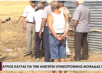 Αλεξανδρούπολη: Άγριος καυγάς μεταξύ κατοίκων με αφορμή την ανέγερση κτηνοτροφικής μονάδας[video]