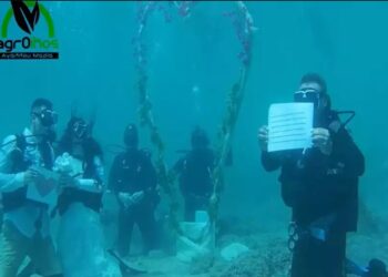 Υποβρύχιος γάμος στην Αλόννησο: «Τους τα είχα όλα γραμμένα, ακόμα και το “φιληθείτε”», λέει ο δήμαρχος
