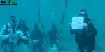 Υποβρύχιος γάμος στην Αλόννησο: «Τους τα είχα όλα γραμμένα, ακόμα και το “φιληθείτε”», λέει ο δήμαρχος