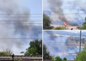 Φωτιά τώρα στα Οινόφυτα: Κινητοποίηση της Πυροσβεστικής