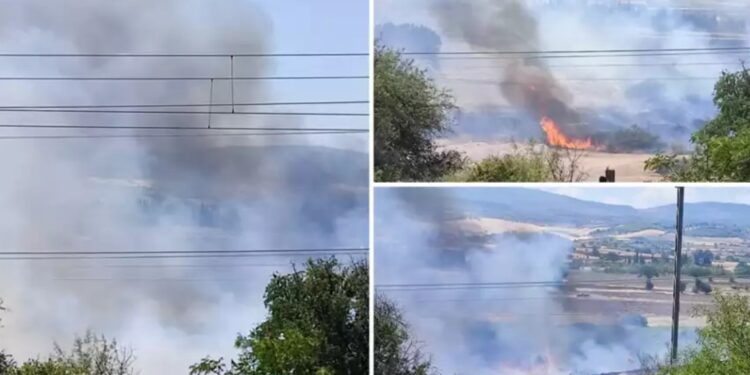 Alldaynews.gr Φωτιά τώρα στα Οινόφυτα: Κινητοποίηση της Πυροσβεστικής