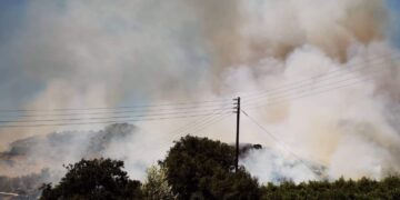 Alldaynews.gr Φωτιά στην Αργολίδα: «Έπρεπε όλα να γίνουν γρήγορα» – Γλίτωσε το ξενοδοχείο