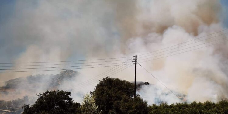 Alldaynews.gr Φωτιά στην Αργολίδα: «Έπρεπε όλα να γίνουν γρήγορα» – Γλίτωσε το ξενοδοχείο