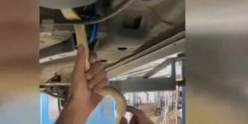 Σoκ στη Θεσσαλονίκη: Φίδι ενός μέτρου εγκλωβίστηκε σε ντεπόζιτο βενζίνης αυτοκινήτου[video]