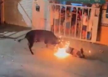 Ισπανία: Ταύρος σκότωσε 24χρονο σε φεστιβάλ[photos]