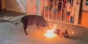 Ισπανία: Ταύρος σκότωσε 24χρονο σε φεστιβάλ[photos]