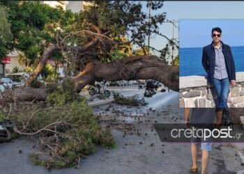 Θρήνος για τον 51χρονο Παναγιώτη που καταπλακώθηκε από δέντρο-Ήταν πατέρας 3 παιδιών[photos]