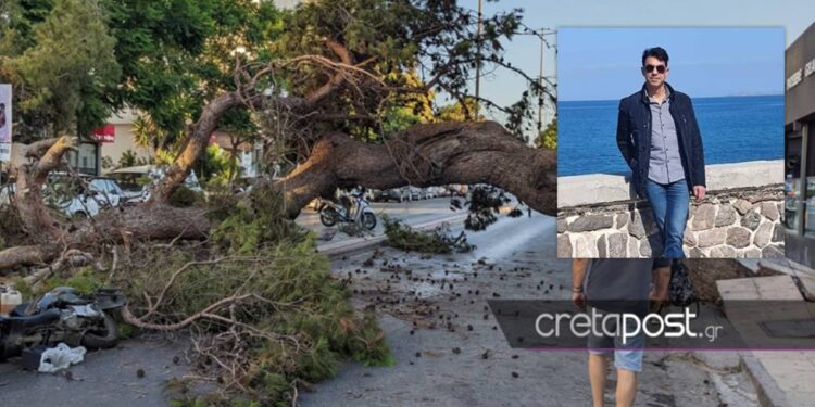 Θρήνος για τον 51χρονο Παναγιώτη που καταπλακώθηκε από δέντρο-Ήταν πατέρας 3 παιδιών[photos]