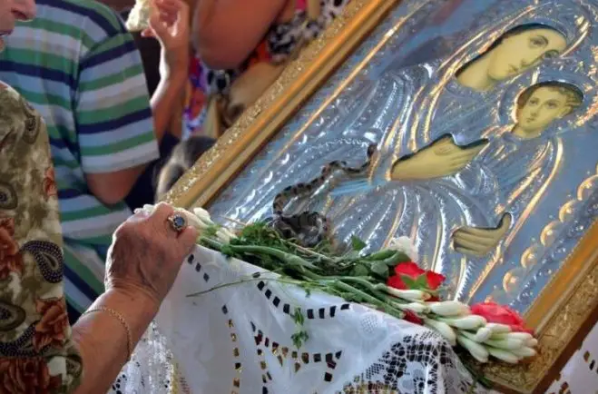 Τα φίδια της Παναγίας στην Κεφαλονιά – Θα αναχωρήσουν τον Δεκαπενταύγουστο[video]