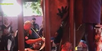 Alldaynews.gr Πακιστάν: Ανακούφιση στον πονόδοντο βρήκε νεαρή ελεφαντίνα