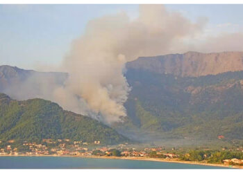 Φωτιά στη Θάσο: Προσαγωγή 65χρονου – Βρήκαν φωτοβολίδες και εύφλεκτο υλικό στο αυτοκίνητό του