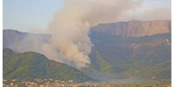 Alldaynews.gr Φωτιά στη Θάσο: Προσαγωγή 65χρονου – Βρήκαν φωτοβολίδες και εύφλεκτο υλικό στο αυτοκίνητό του