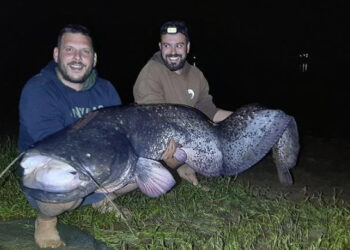 Λίμνη Πλαστήρα: Ψαράδες έπιασαν γουλιανό μήκους 2,40 μέτρων(photos)