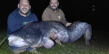 Alldaynews.gr Λίμνη Πλαστήρα: Ψαράδες έπιασαν γουλιανό μήκους 2,40 μέτρων(photos)