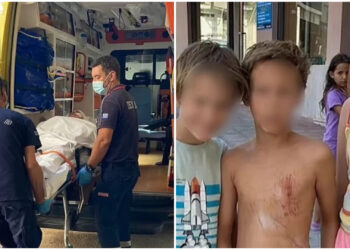 Άγρια επίθεση αγέλης 15 σκύλων σε οικογένεια στους Αγίους Θεοδώρους -Τρεις τραυματίες, ανάμεσά τους δύο παιδιά (φωτο)