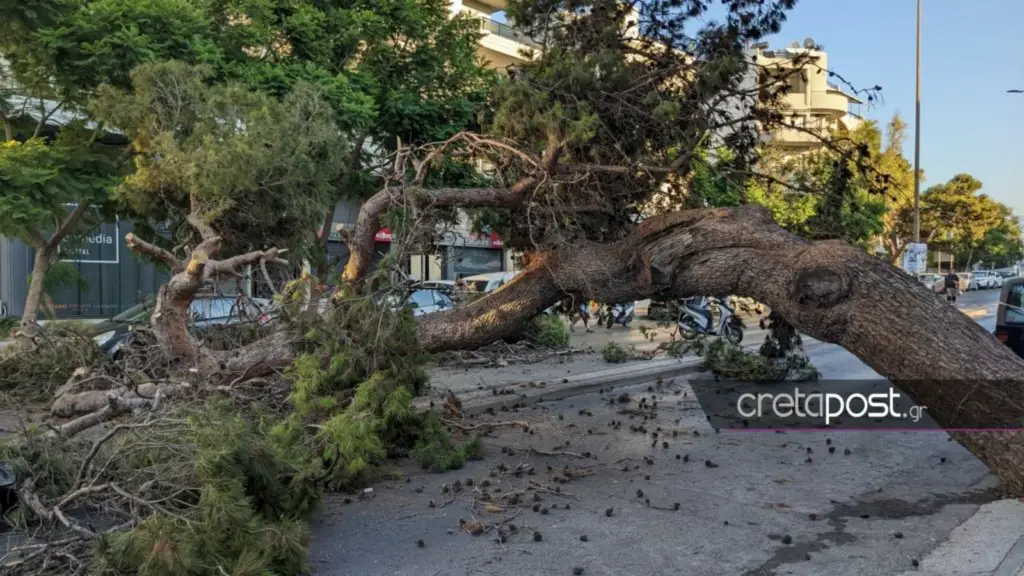 Τραγωδία στην Κρήτη: Νεκρός 50χρονος οδηγός μηχανής – Καταπλακώθηκε από δέντρο (φωτο, video)