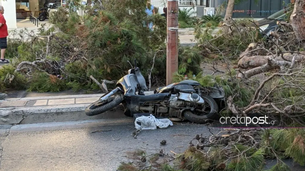 Τραγωδία στην Κρήτη: Νεκρός 50χρονος οδηγός μηχανής – Καταπλακώθηκε από δέντρο (φωτο, video)