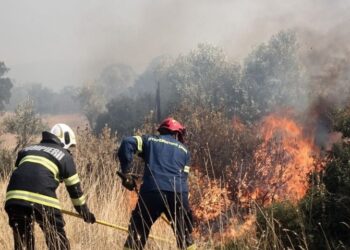 Λέσβος: Συνελήφθη 10χρονος για εμπρησμούς-«Μου αρέσει να βλέπω τους πυροσβέστες να σβήνουν φωτιές»