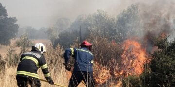 Alldaynews.gr Λέσβος: Συνελήφθη 10χρονος για εμπρησμούς-«Μου αρέσει να βλέπω τους πυροσβέστες να σβήνουν φωτιές»