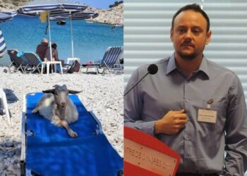 Μαγιορκίνης: «Όταν τα κατσίκια αράζουν στις ξαπλώστρες, η επόμενη υποπαραλλαγή θα είναι μπε»