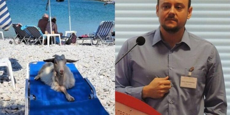 Alldaynews.gr Μαγιορκίνης: «Όταν τα κατσίκια αράζουν στις ξαπλώστρες, η επόμενη υποπαραλλαγή θα είναι μπε»