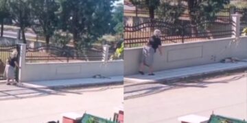 Σάλος με ηλικιωμένη που πετάει το μπαστούνι της σε σκυλάκι που κοιμάται - Ξύπνησε κλαίγοντας τρομαγμένο (video)