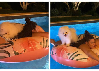 Δανάη ωραίο το…σκυλάκι σου! Μας τρέλανε![photos]