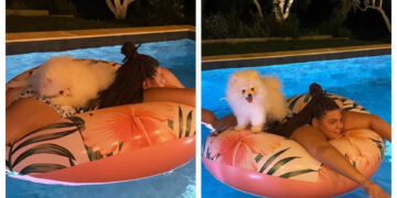 Δανάη ωραίο το…σκυλάκι σου! Μας τρέλανε![photos]