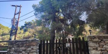 Alldaynews.gr Αυτοκτονία στη Σκιάθο: Κρεμόταν απο δέντρο-Ο αυτόχειρας επιχειρηματίας «δεχόταν πιέσεις για οικονομικά ζητήματα»