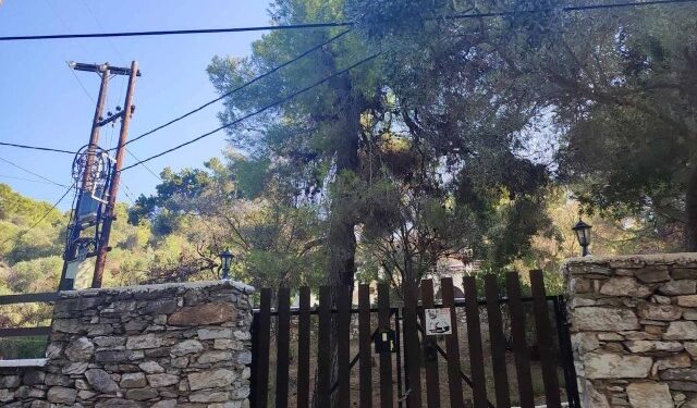 Alldaynews.gr Αυτοκτονία στη Σκιάθο: Κρεμόταν απο δέντρο-Ο αυτόχειρας επιχειρηματίας «δεχόταν πιέσεις για οικονομικά ζητήματα»