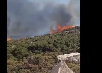 Νυχτερινή μάχη με τις φλόγες στη Νάξο