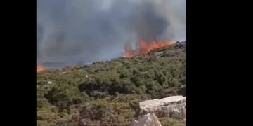 Νυχτερινή μάχη με τις φλόγες στη Νάξο