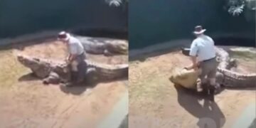 Alldaynews.gr Σοκαριστικό βίντεο: Γιγαντιαίος κροκόδειλος άρπαξε τον εκπαιδευτή του μπροστά σε θεατές