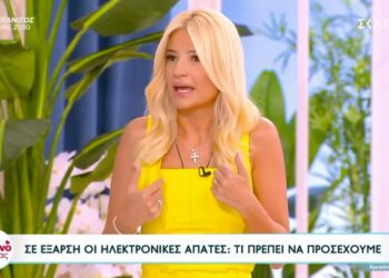Φαίη Σκορδά: «Την πάτησα – Πάτησα το link και έγινε η μεταφορά χρημάτων»