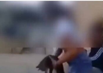 Κρήτη: Μαθήτρια κλώτσησε γάτα και γελούσε με τις φίλες της[video]