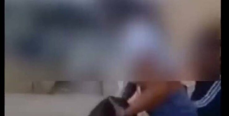 Κρήτη: Μαθήτρια κλώτσησε γάτα και γελούσε με τις φίλες της[video]