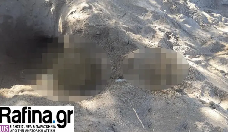 Θρίλερ στη Ραφήνα: Παιδί έπαιζε στην άμμο και ξέθαψε ανθρώπινο κρανίο