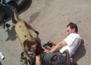 Αστυνομικοί σκοτώνουν έναν άνδρα που σημάδεψε το κεφάλι αστυνομικού σκύλου