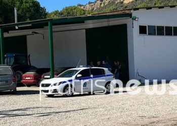 Alldaynews.gr Έγκλημα στην Ηλεία: Νεκρός 68χρονος κοντά στην επιχείρησή του με τραύμα στο κεφάλι