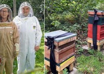 Ελισάβετ: Γιατί ο μελισσοκόμος του Παλατιού ενημέρωσε τις μέλισσες ότι πέθανε η βασίλισσα