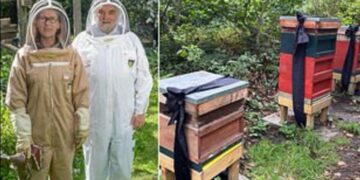 Alldaynews.gr Ελισάβετ: Γιατί ο μελισσοκόμος του Παλατιού ενημέρωσε τις μέλισσες ότι πέθανε η βασίλισσα