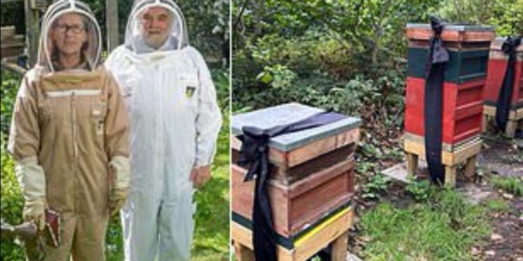 Alldaynews.gr Ελισάβετ: Γιατί ο μελισσοκόμος του Παλατιού ενημέρωσε τις μέλισσες ότι πέθανε η βασίλισσα