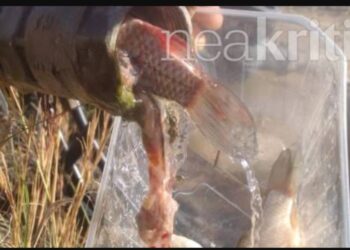 Πήγε να ποτίσει και η βάνα έβγαζε ψάρια – Απίστευτο περιστατικό…