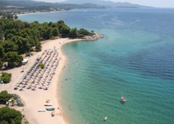 Επιχειρηματίας από τη Χαλκιδική έστησε beach bar μέσα σε δασική έκταση και… εκφόβιζε κόσμο