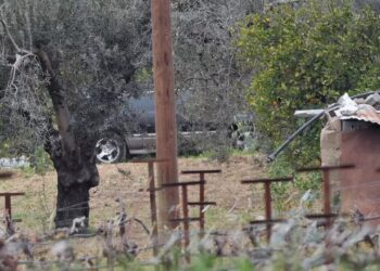 Alldaynews.gr Ηλεία: Την σκότωσε για να μην γράψει τα πλούτη σε Μάρτυρες του Ιεχωβά