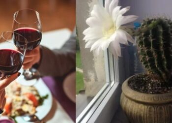 Τραβάνε τη γρουσουζιά σαν μαγνήτης: 5 πράγματα που φέρνουν κακοτυχία στο σπίτι και πρέπει να πετάξεις άμεσα