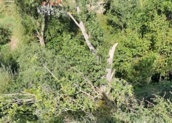 Η τραγική ιστορία της γυναίκας που βρέθηκε θαμμένη – Είχαν πεθάνει και οι 2 κόρες της