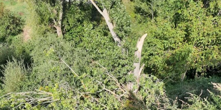 Η τραγική ιστορία της γυναίκας που βρέθηκε θαμμένη – Είχαν πεθάνει και οι 2 κόρες της